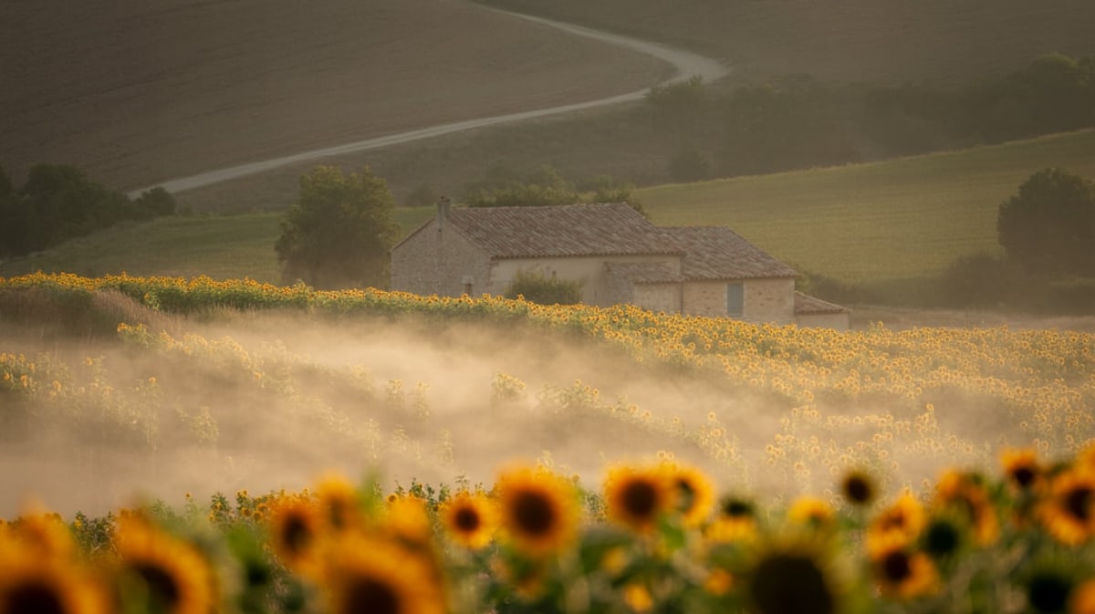 vague de chaleur en france
