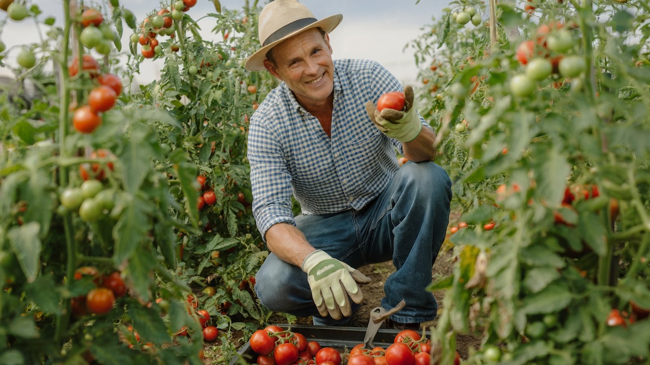 Éclaircissage potager